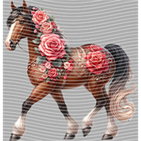 Valentine's Day-QRJ  5845